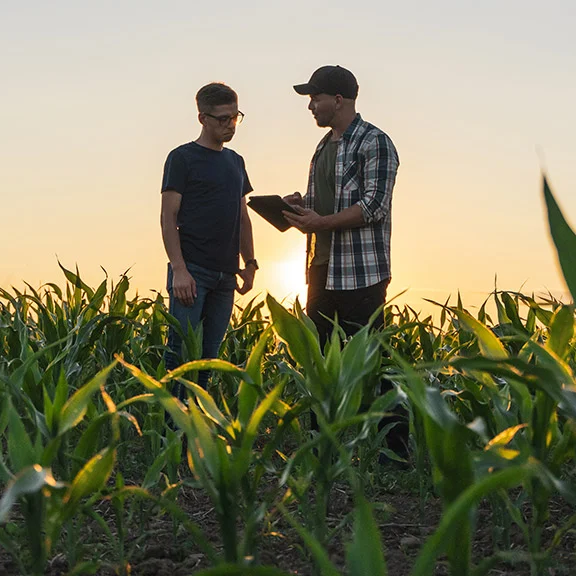 Farmers in Field